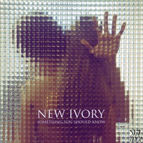 FREE DOWNLOAD - NEW IVORY - DAY BY DAY (OSTBLOCKSCHLAMPEN REMIX)