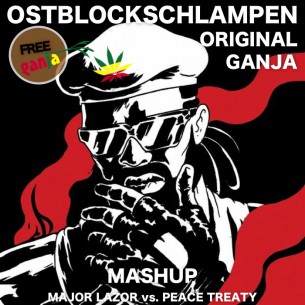 this is our explosive edit / mashup from one our fav tracks... so enjoy! and download it!
Major Lazor - Original Don vs. Peace Treaty - Funk in da Ganja